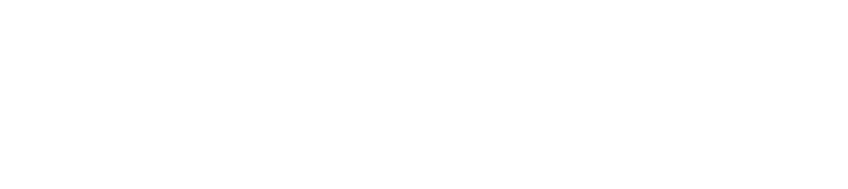 Merytronic